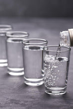Load image into Gallery viewer, premium_vodka_tasting